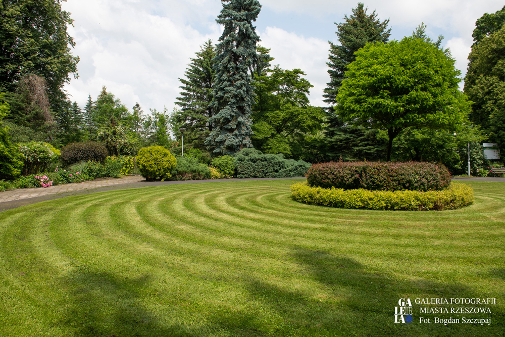 Zrewitalizowany park na os. Miłocin